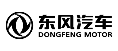 DFM
